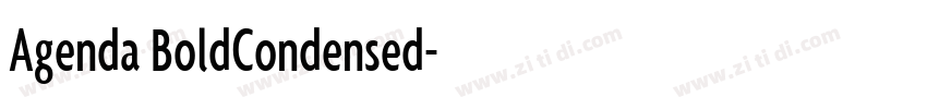 Agenda BoldCondensed字体转换